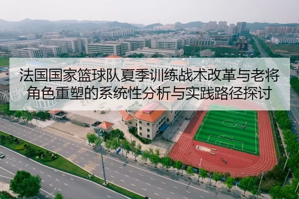 法国国家篮球队夏季训练战术改革与老将角色重塑的系统性分析与实践路径探讨